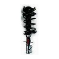 Suspension Strut and Coil Spring Assembly Z5772
