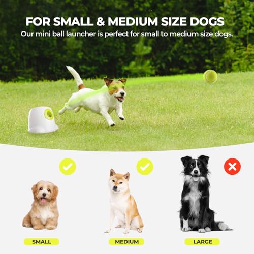 Dog Automatic Ball Launcher with 3 Balls D924