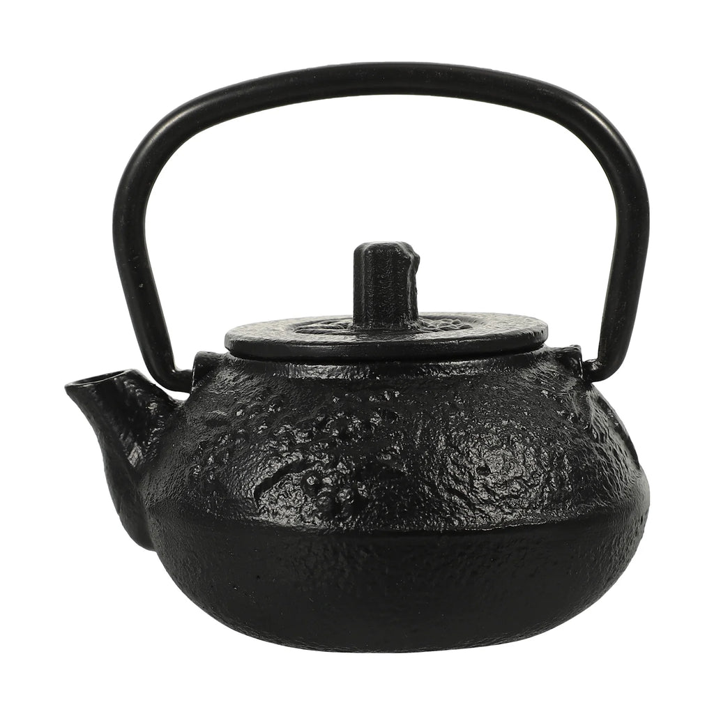 Cast Iron Teapot Tea Kettle Stovetop N560828