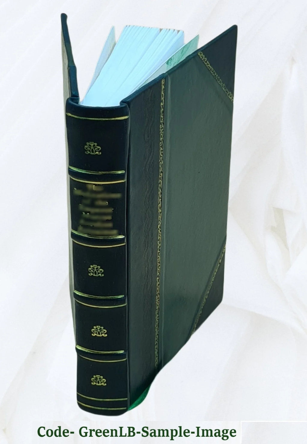Bibliotheca anglo-judaica: A Bibliographical Guide to Anglo-Jewish History D24792