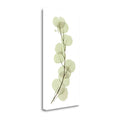 Eucalyptus Giclee Print R749