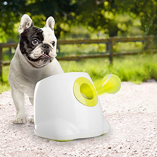 Dog Automatic Ball Launcher with 3 Balls D924