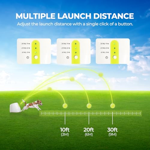 Dog Automatic Ball Launcher with 3 Balls D924