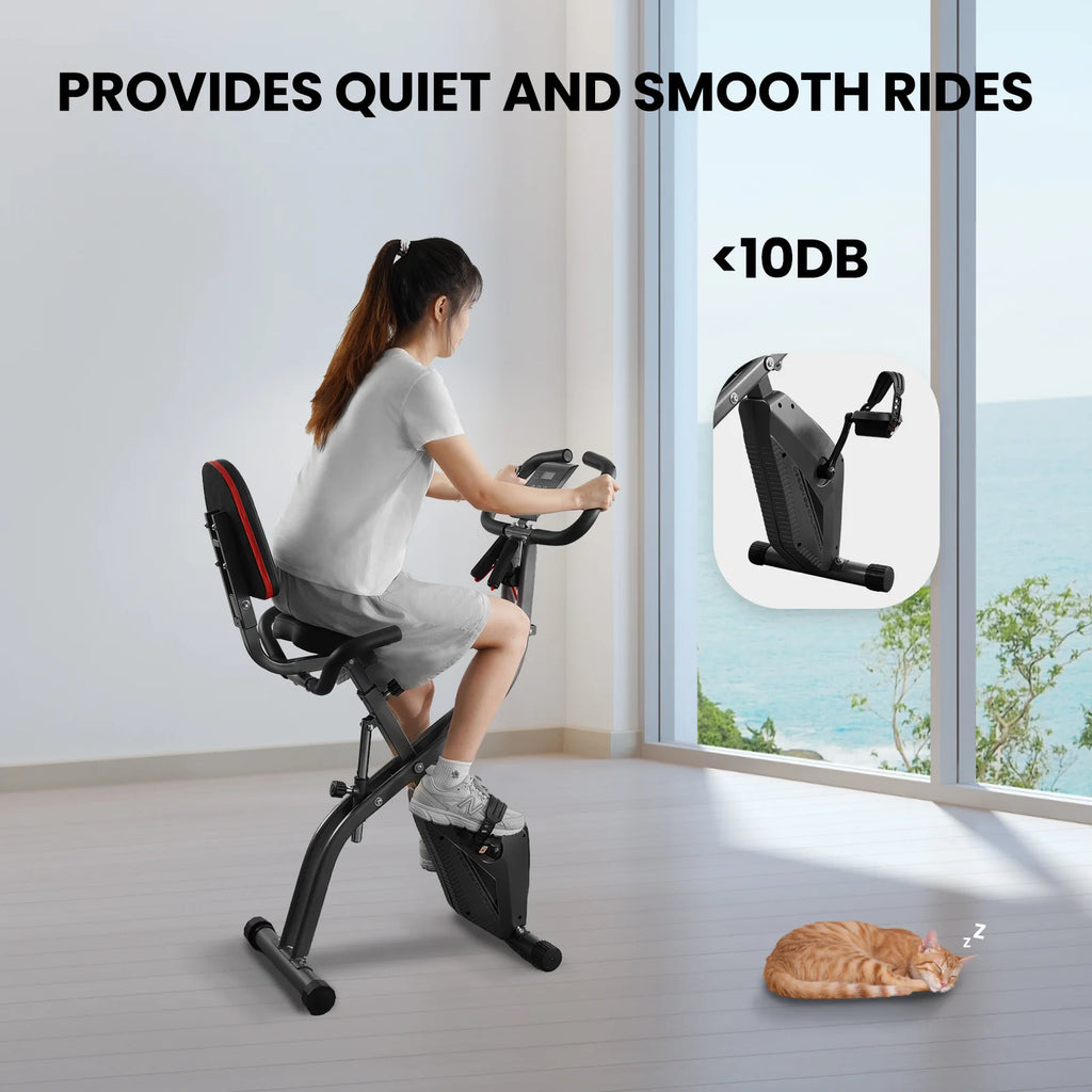 Folding 3-in-1 Exercise Bike G293
