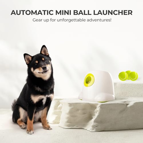 Dog Automatic Ball Launcher with 3 Balls D924