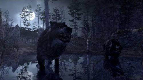 Dangerous Hunts 2011 for Wii V1914