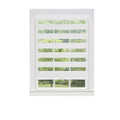 Cordless Zebra Blinds Roller Shade Y618