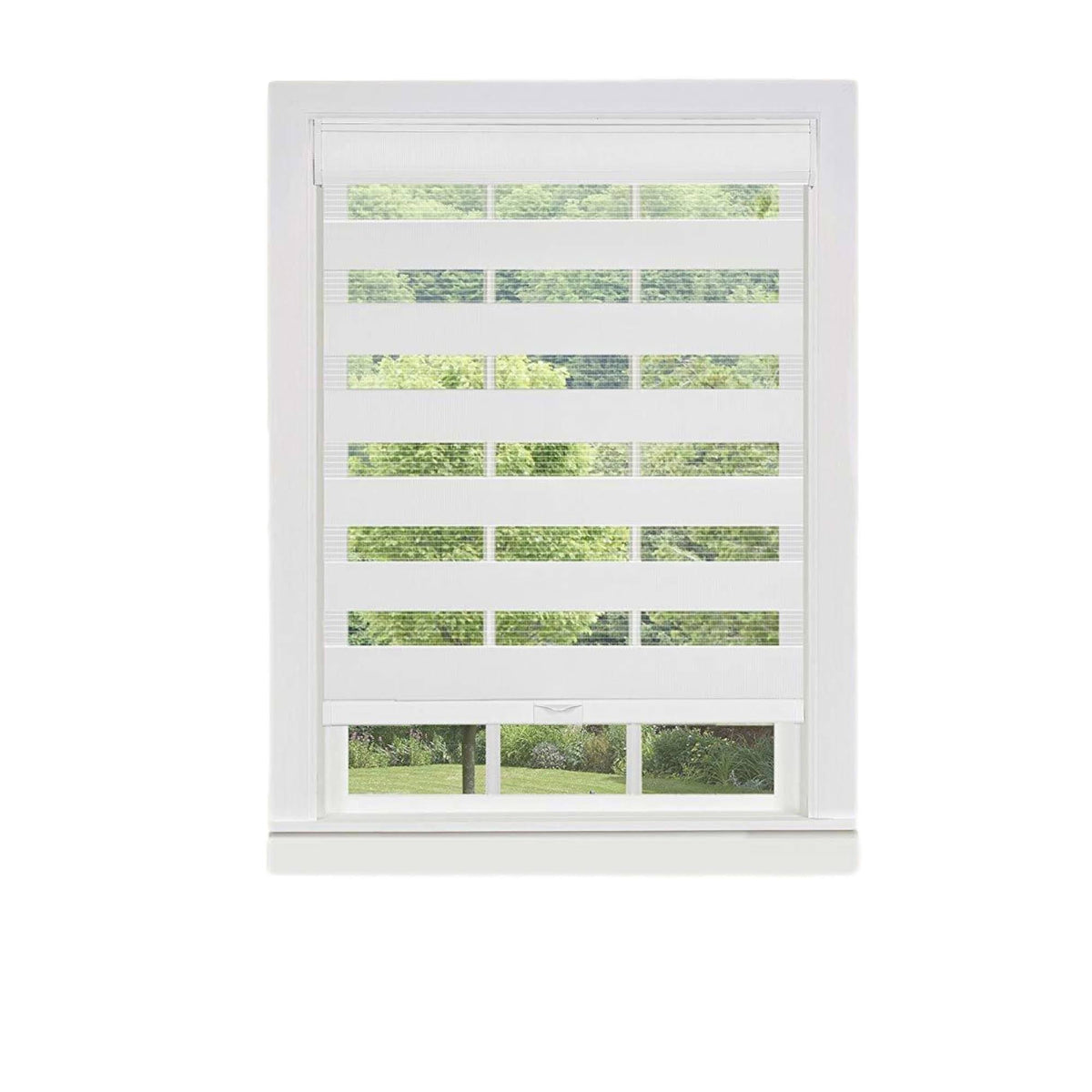 Cordless Zebra Blinds Roller Shade Y618