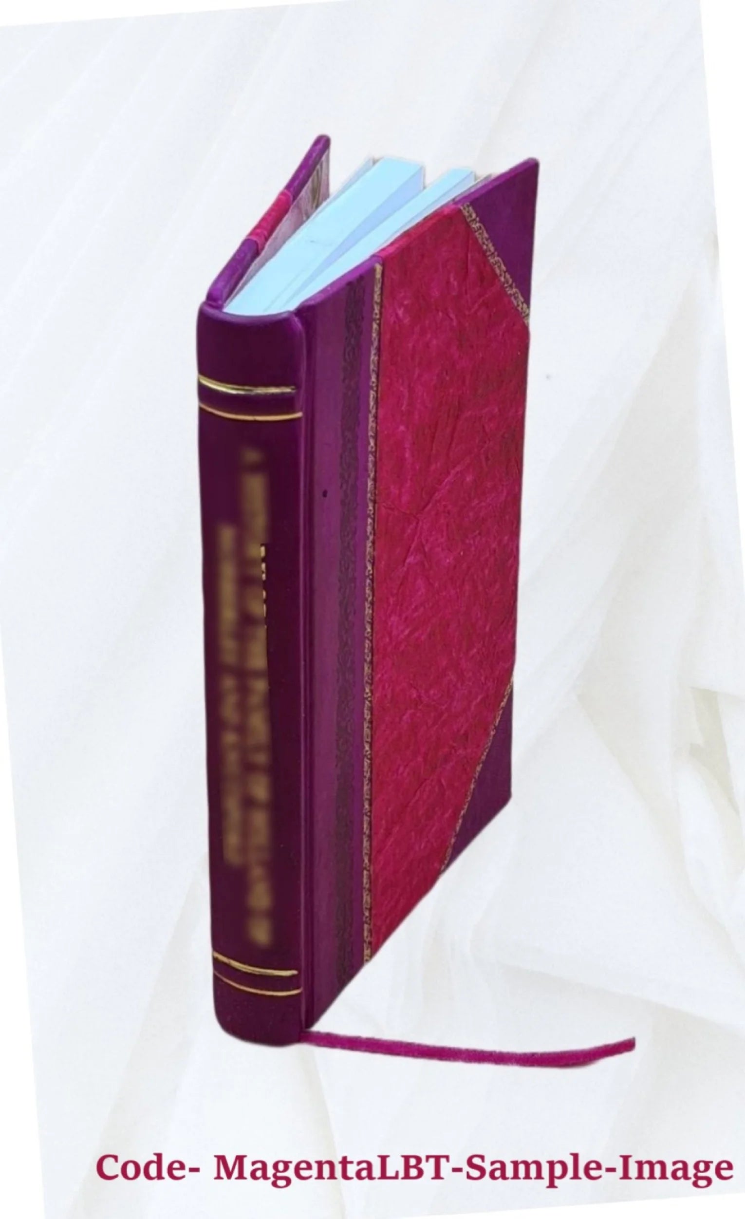 Central Park Board of Commissioners Annual Report 1858 Leather Bound T906057