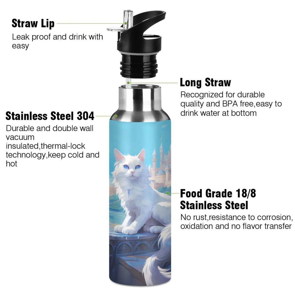 Stainless Steel Insulated Water Bottle with Straw Lid K473