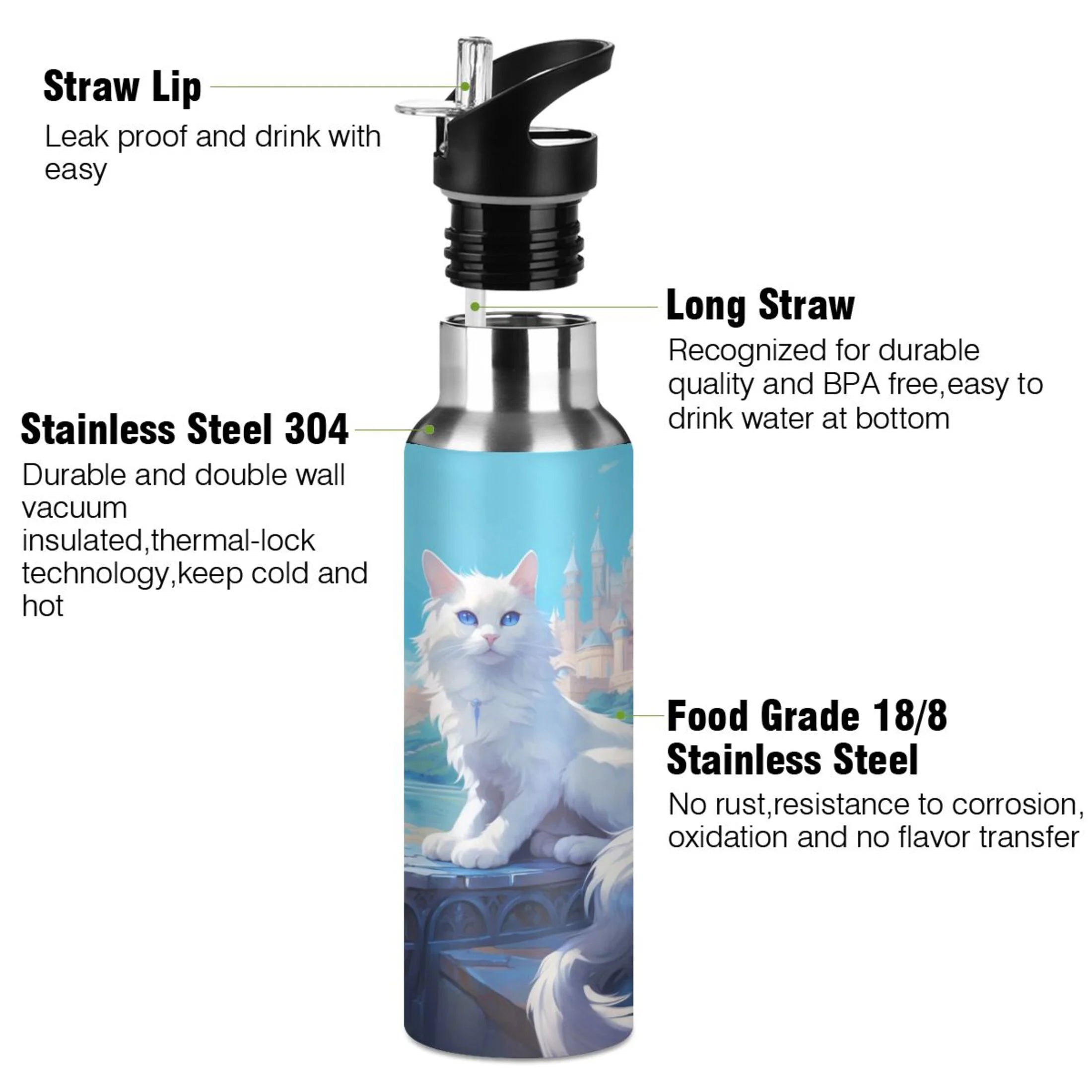 Stainless Steel Insulated Water Bottle with Straw Lid K473
