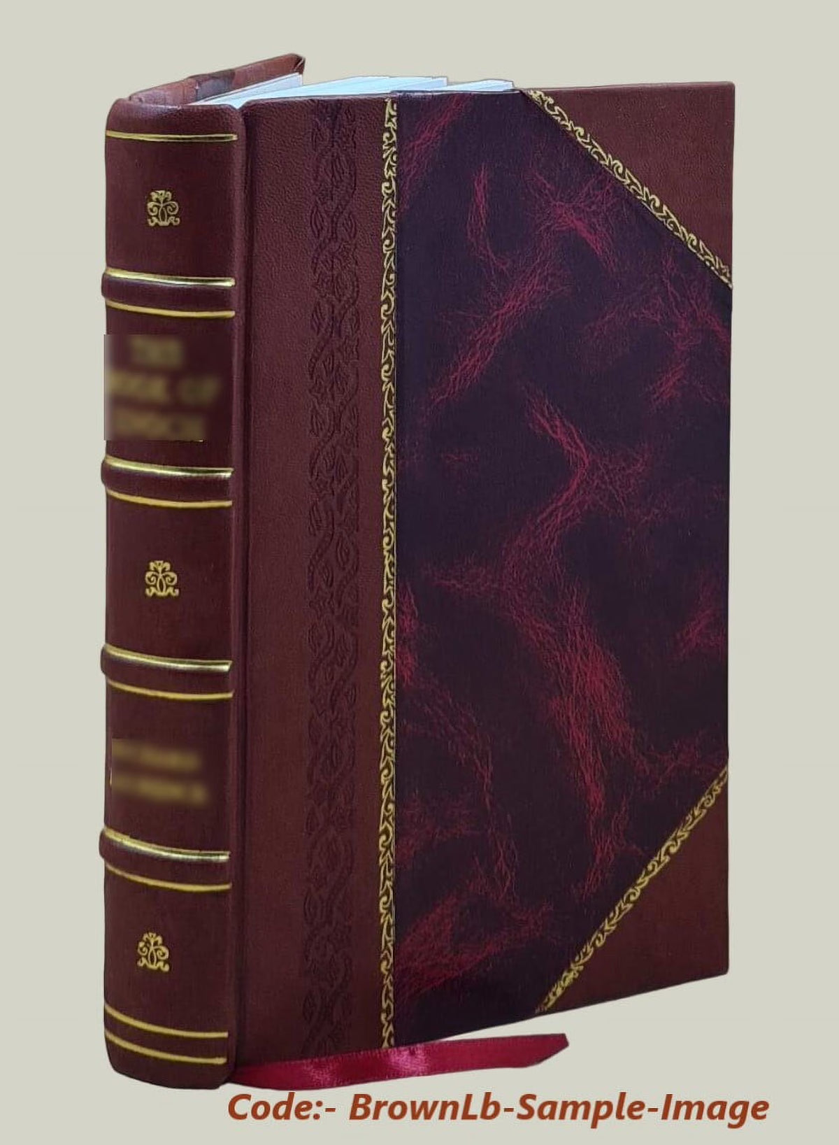 Leather Bound Guide-Book for Tourists V70733