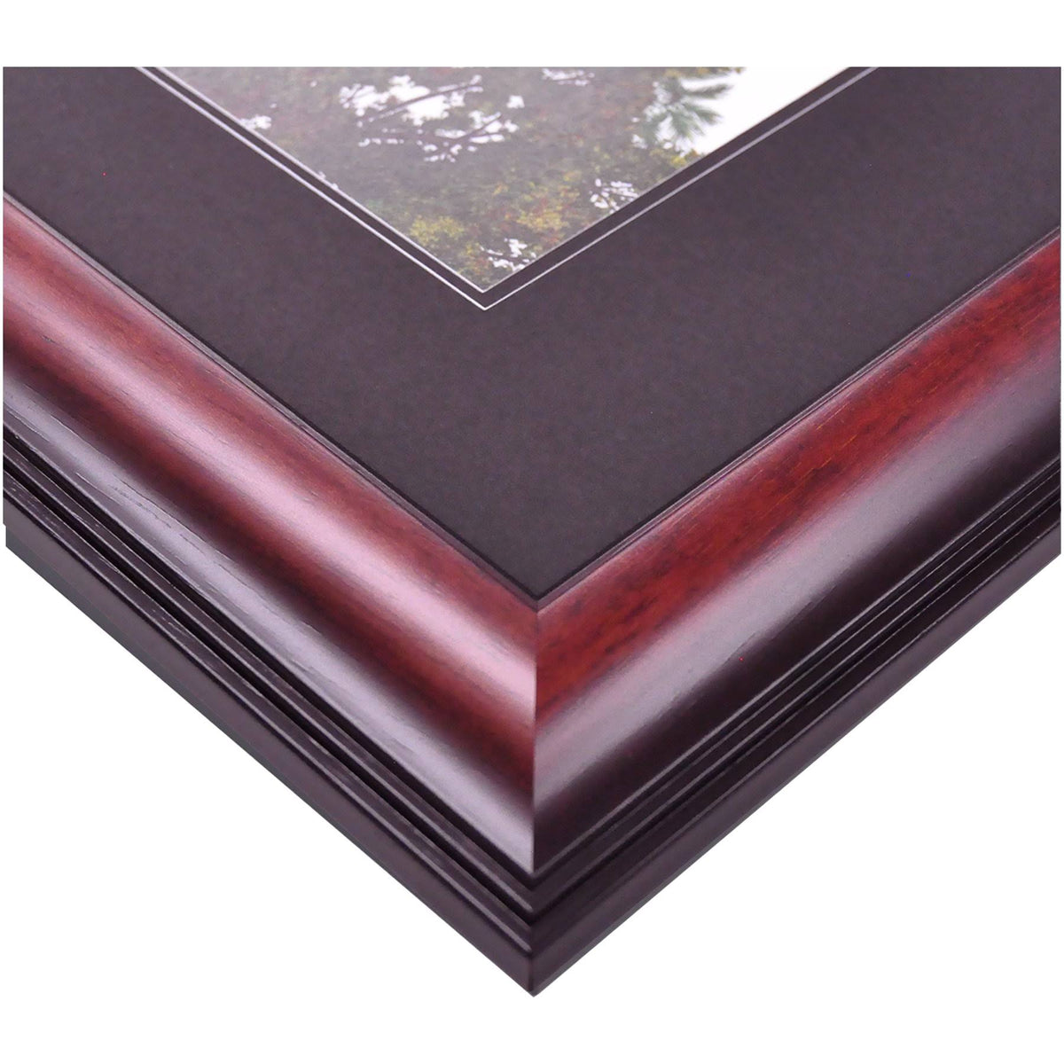 Framed Lithograph Z49559