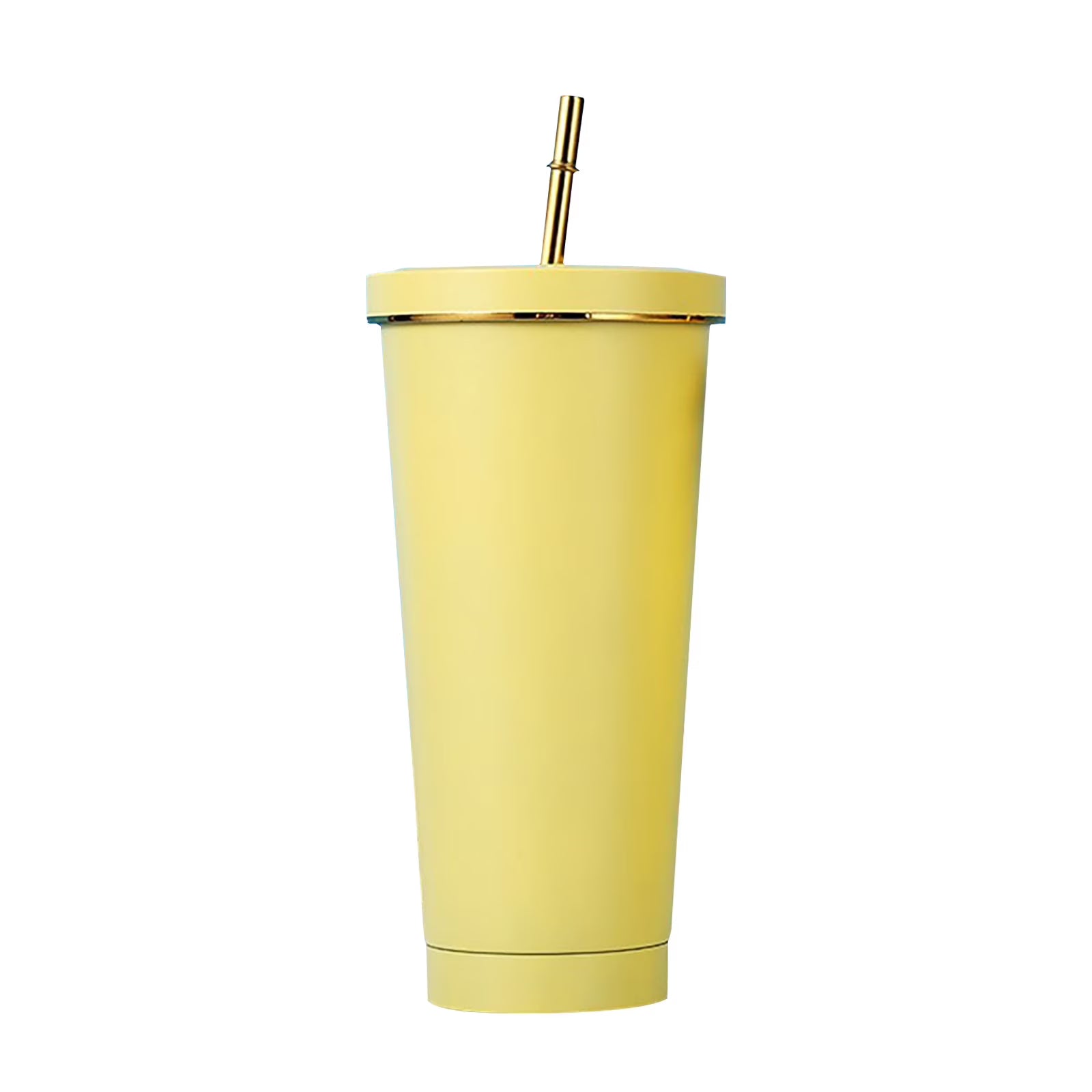 500Ml Double Layer Stainless Steel Water Bottle With Straw Z520011