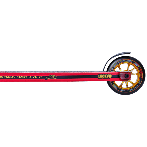 Pro Scooter P2579