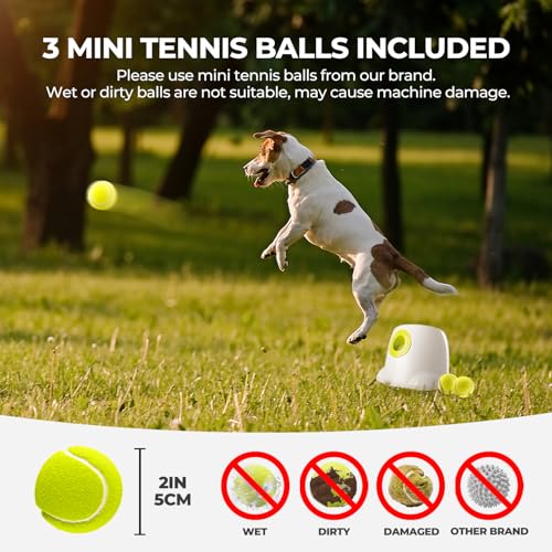 Dog Automatic Ball Launcher with 3 Balls D924