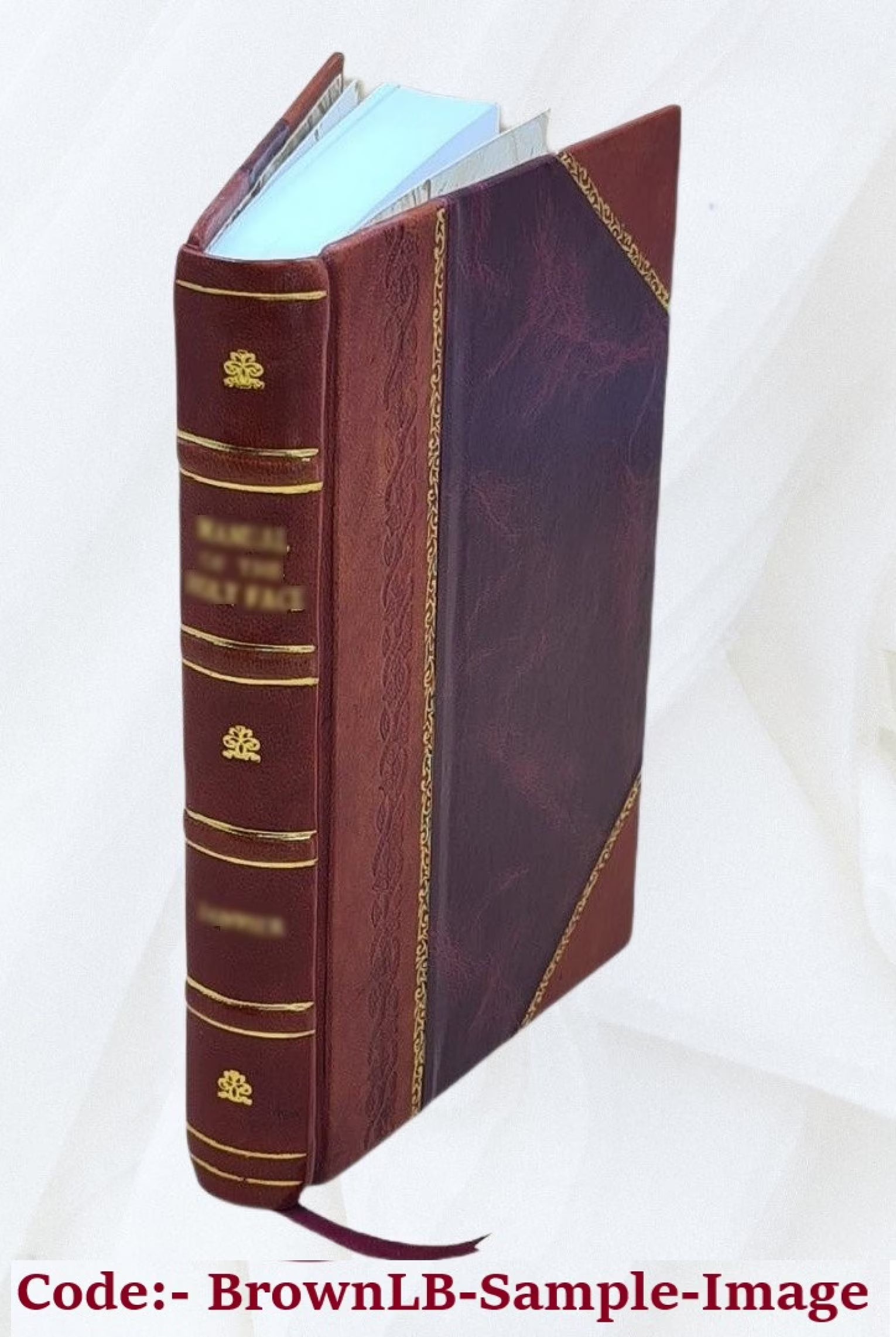 Leather Bound Book B740608