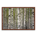 Framed Photograph Print B990457