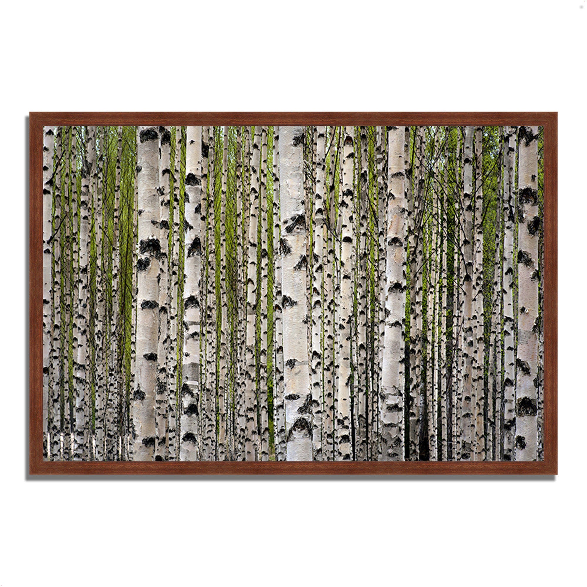 Framed Photograph Print B990457