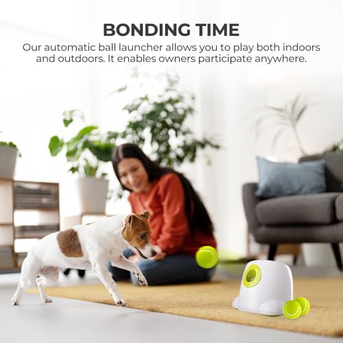 Dog Automatic Ball Launcher with 3 Balls D924