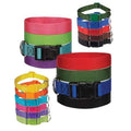 Nylon Dog Collar Bulk Pack of 75 (XSmall 6 to 10 inch) B518