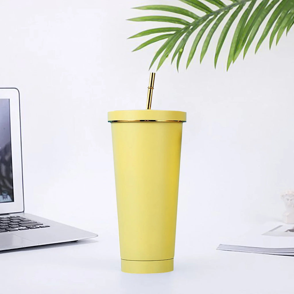 500Ml Double Layer Stainless Steel Water Bottle With Straw Z520011