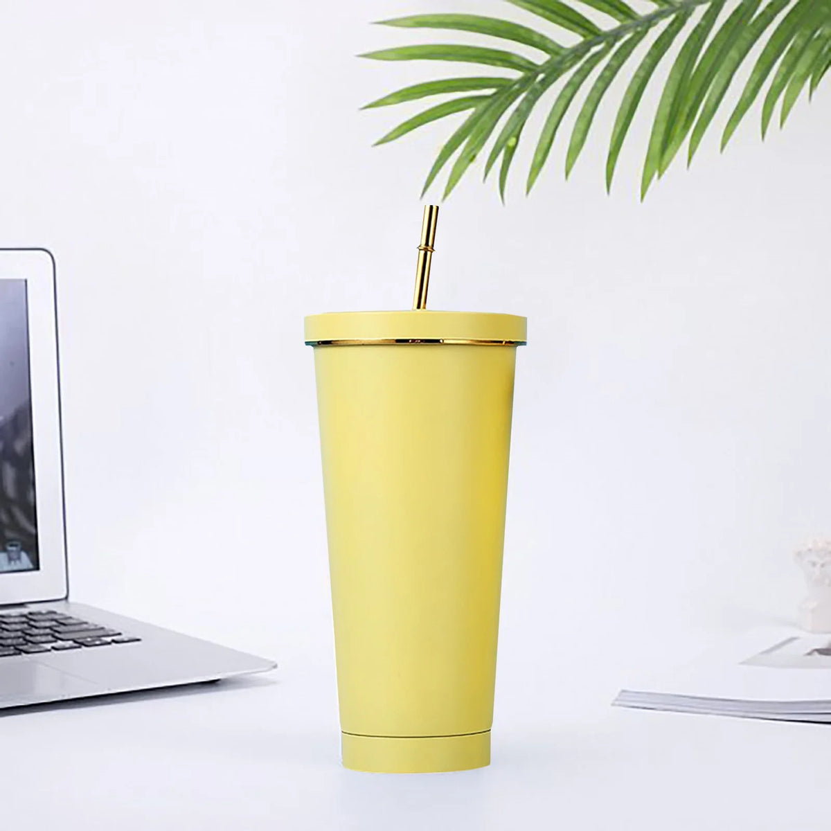 500Ml Double Layer Stainless Steel Water Bottle With Straw Z520011