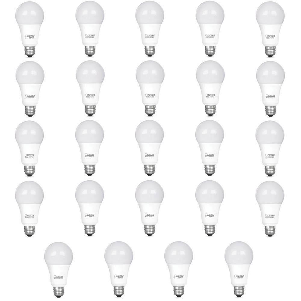 100-Watt Equivalent A19 Dimmable LED Light Bulb B821