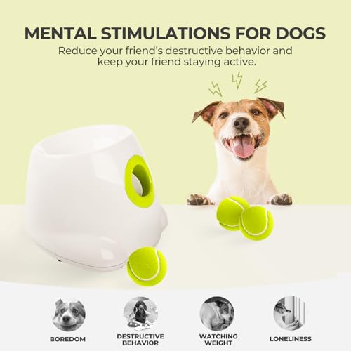 Dog Automatic Ball Launcher with 3 Balls D924