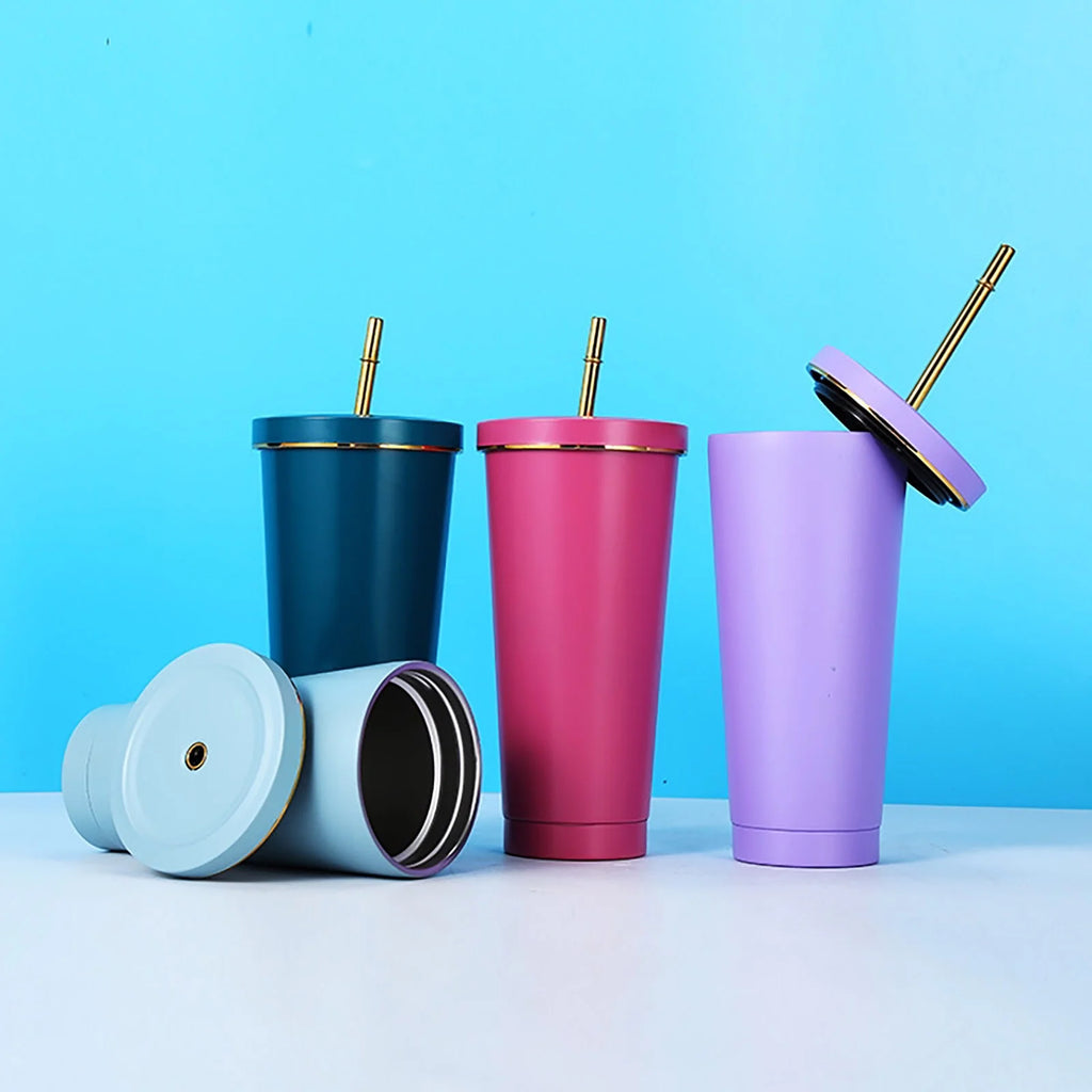 500Ml Double Layer Stainless Steel Water Bottle With Straw Z520011