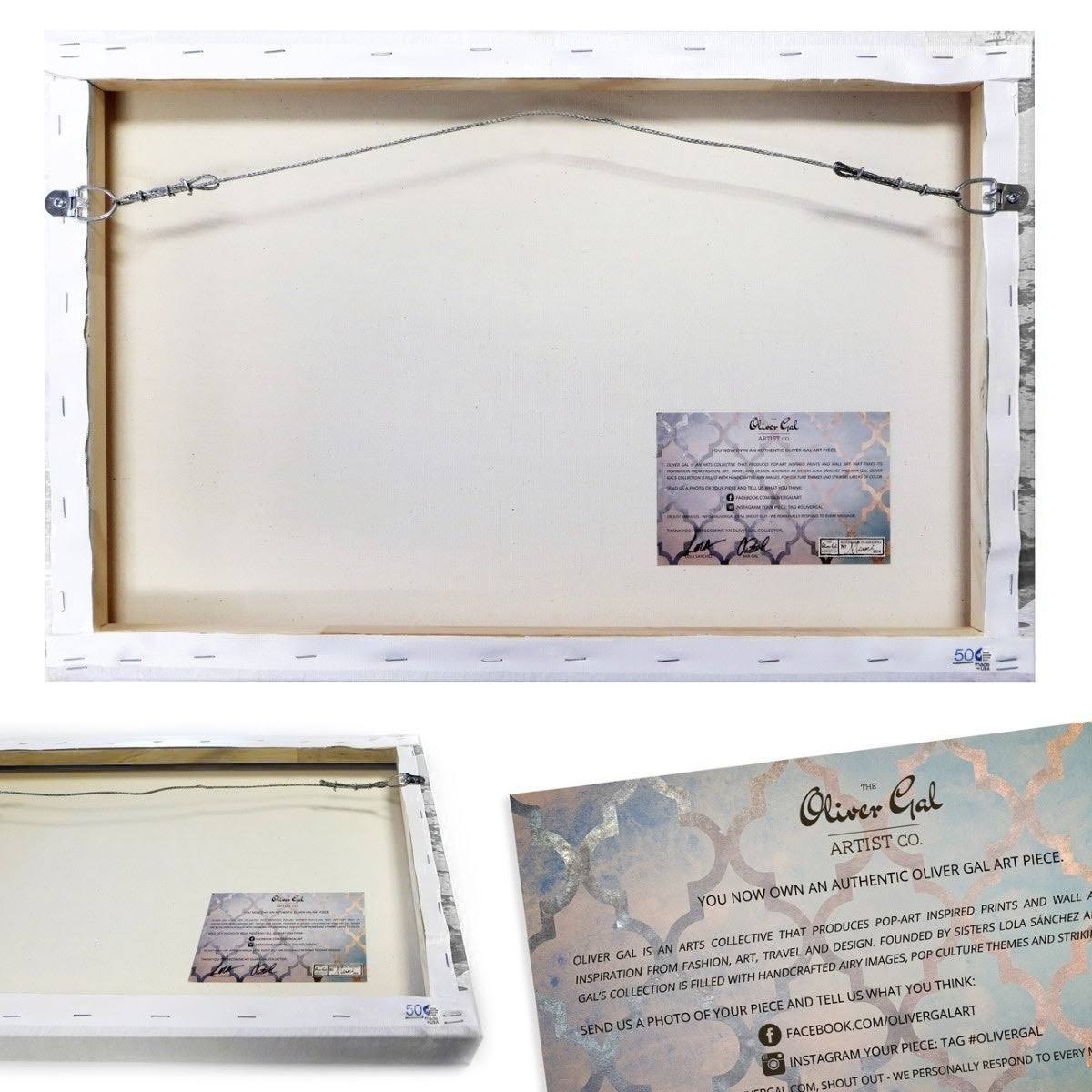 Canvas Art (16x24) F678133