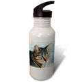 21 oz Sports Water Bottle Y65651