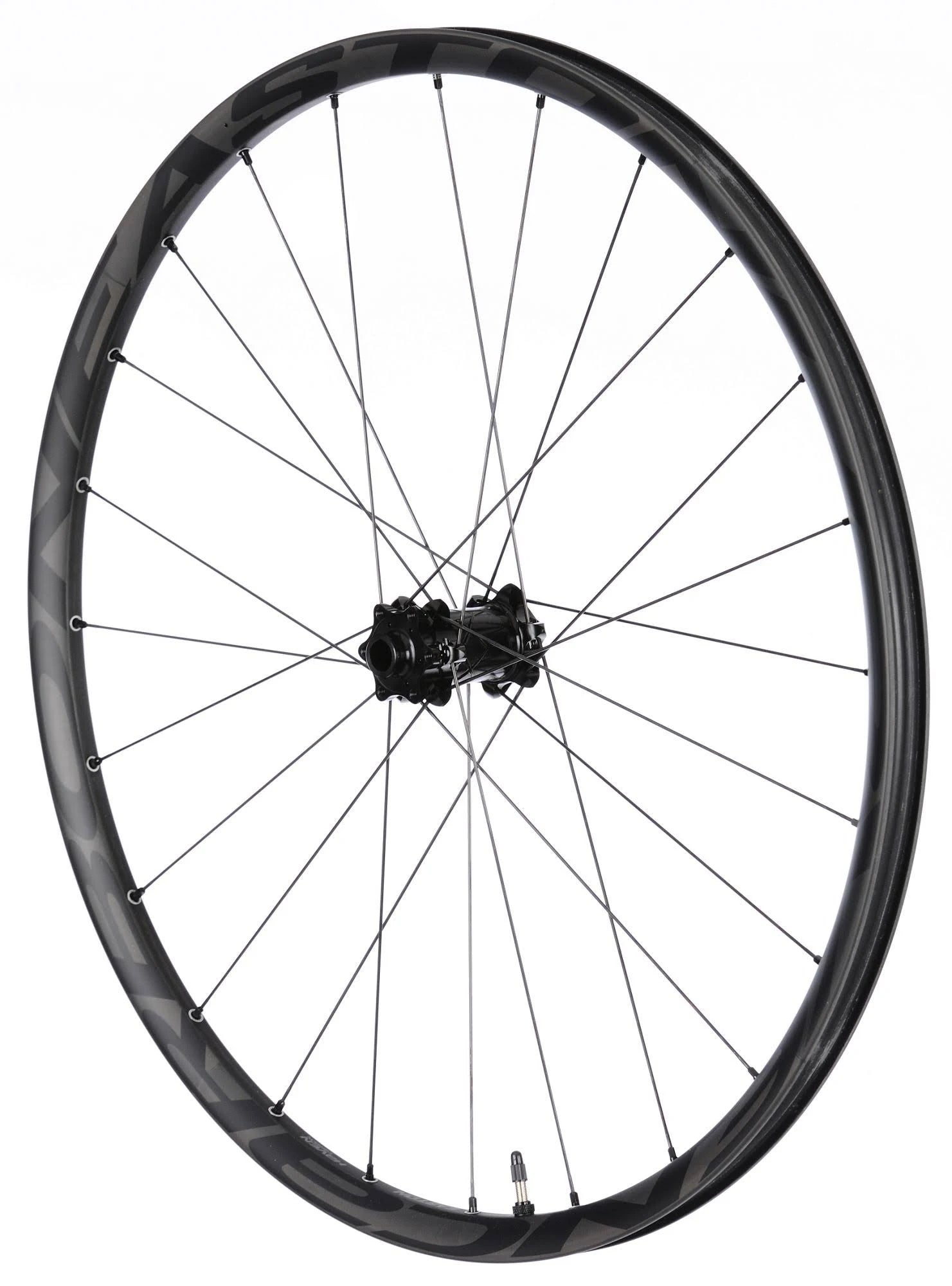 Carbon 29er Front Wheel A97454