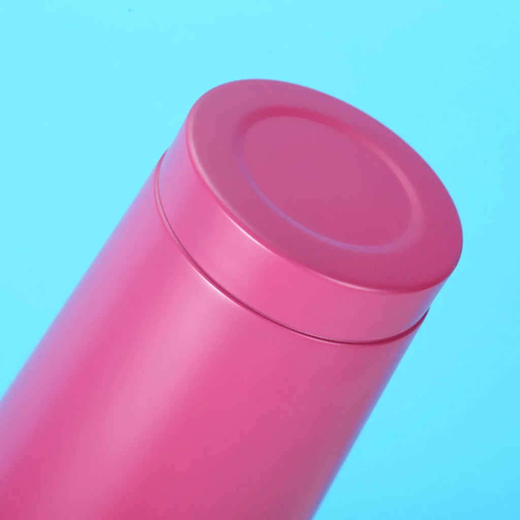 500Ml Double Layer Stainless Steel Water Bottle With Straw Z520011