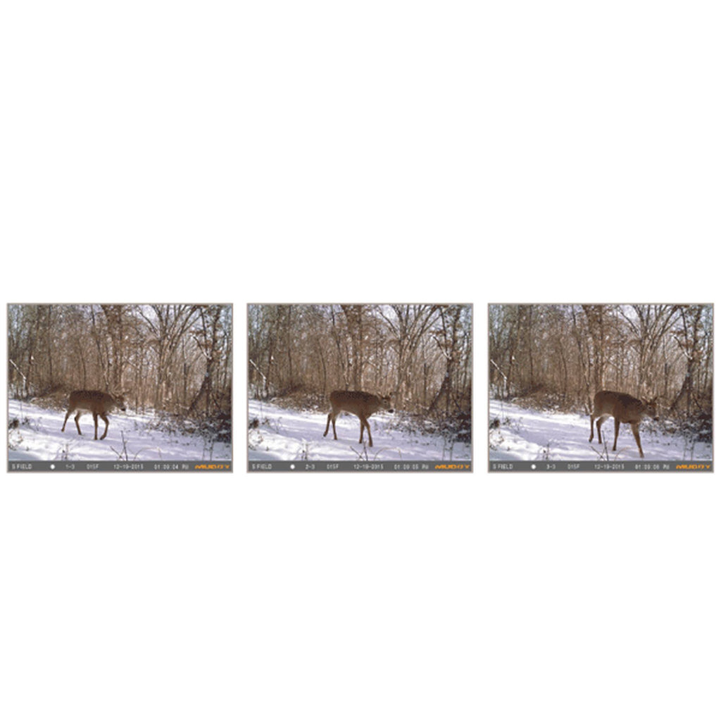 14 Trail Camera D600