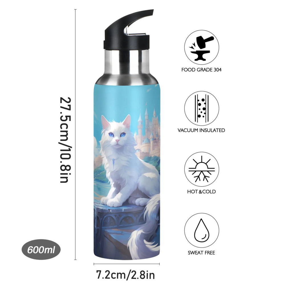 Stainless Steel Insulated Water Bottle with Straw Lid K473