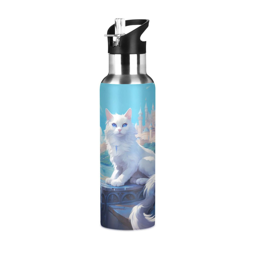 Stainless Steel Insulated Water Bottle with Straw Lid K473
