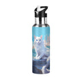 Stainless Steel Insulated Water Bottle with Straw Lid K473